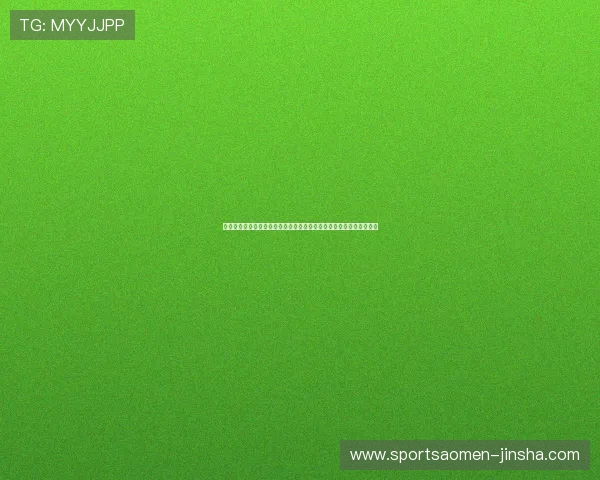 澳门金沙官方网站网页版安全保障措施详解，保障玩家资金与信息安全