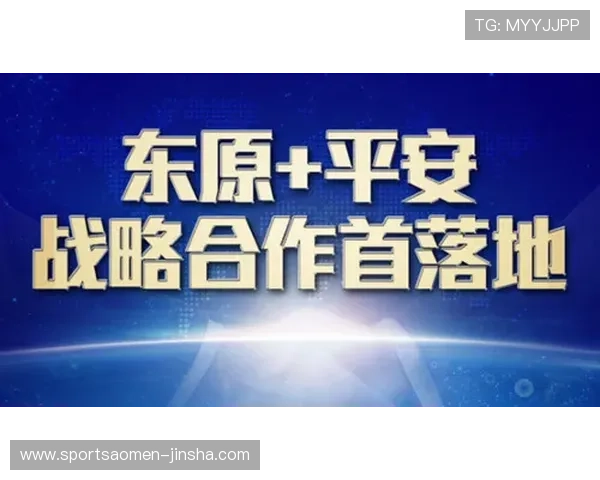 网上金沙集团如何选择正规平台确保游戏体验与资金安全的实用指南