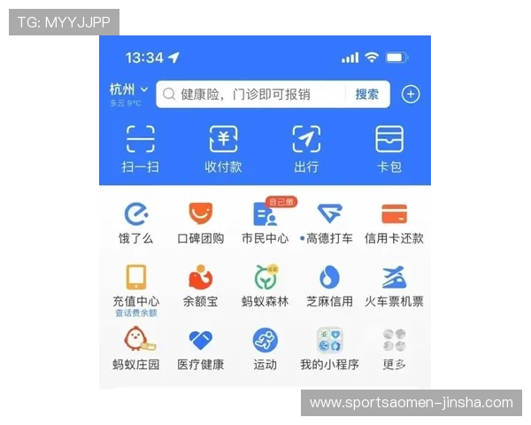 金沙城官网登录入口多渠道登录方式，满足不同用户的多样需求